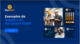 Recueil de rapports VSME