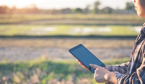 Internet of Things (IoT): at the heart of Agriculture 4.0