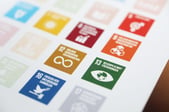 Les Objectifs de Développement Durable au service de la stratégie RSE