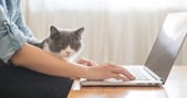 Work from home: the keys to efficiency