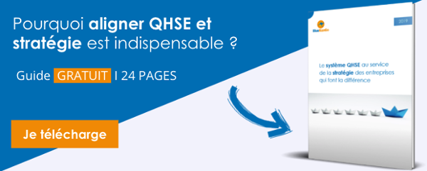 Aligne QHSE et Strategie